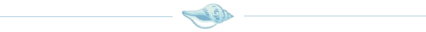 shell-divider